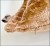 ORCHID_40x60_TOCCO_14_8.jpg