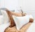 ORCHID_40x60_TOCCO_14_10.jpg