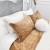 ORCHID_40x60_TOCCO_14_11.jpg