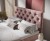Lilotte_Lotta_52_12.jpg