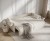 NAPPA_F1_BLR01_L71_7.jpg