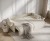 NAPPA_F1_BLR02_L71_7.jpg
