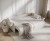 NAPPA_F1_NEV03_L71_7.jpg