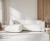MELANI_F0_RVA721_L72_5.jpg